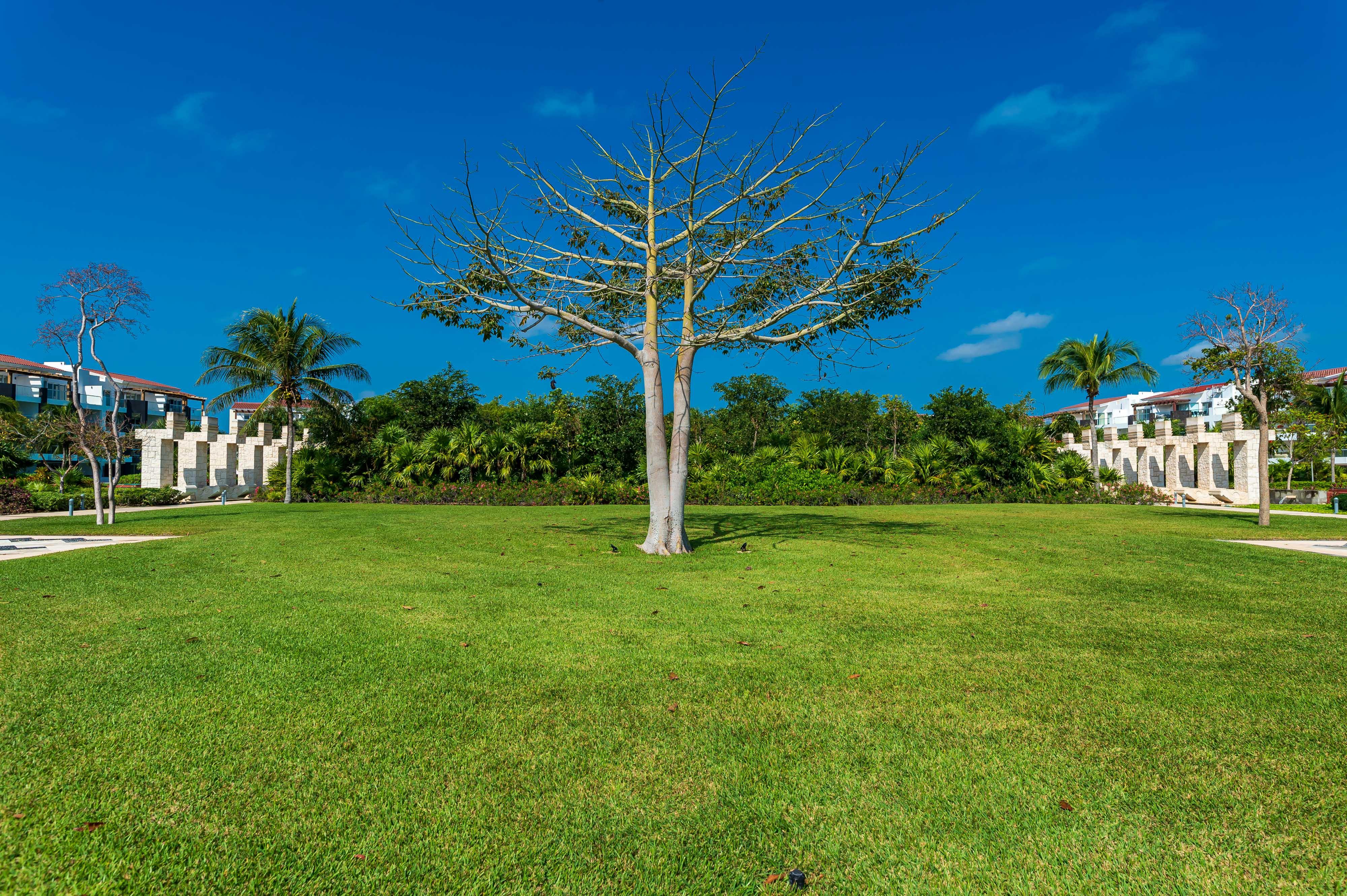 Mareazul Beach Front Resort プレヤデルカーメン エクステリア 写真